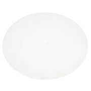 Диск центровочный 300мм Probat