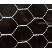 Сетка 25-0.6 мм/1х100/ОЦ/ГОСТ 13603-89