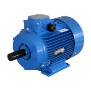 Электродвигатель АИРС90L6 У3 (1.7к8т*1000об/мин) 2081