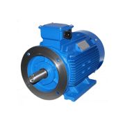 Электродвигатель 5АМ315S4eУЗ IM1001 380/660B 50ГЦ IP54 КЗ-2