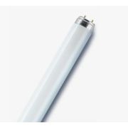 Лампа люминесцентная L 30W/640 30Вт T8 4000К G13 OSRAM