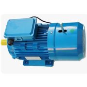 Электродвигатель АИР 90 L4У2 ED2 2,2/1500 исп 2081 с эл.тормозом