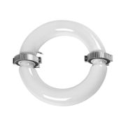 Лампа комплект (Смарт 250/5000К+ПРА250)