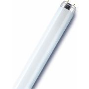 Лампа люминесцентная L 36W/640 36Вт T8 4000К G13 смол. OSRAM