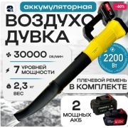 Воздуходувка аккумуляторная садовая, ветродуйка аккумуляторная