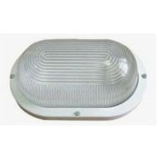 Светильник НПП 03-100-001 Овал 100Вт E27 IP65